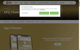 Championship Martial Arts/ Spartan Brazilian Jiu Jitsu website
