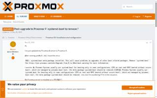 Remove It Pros Inc. website