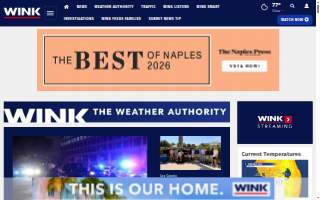 Wink A Salon website