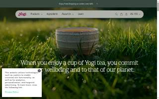 Yogi's Café website