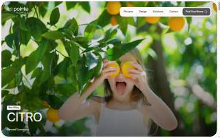 The Citro Agency: Allstate Insurance of Burlington website