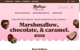The Malley Group at KW Vermont website