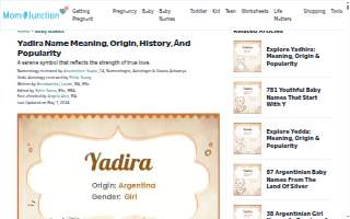 Yadira Alvarez Insurance Agency Inc #1 website