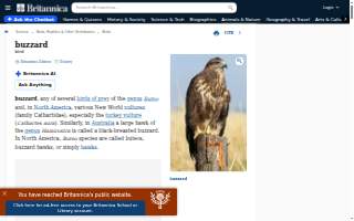 Buzzard Billy's website