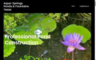 Pond Coffee website