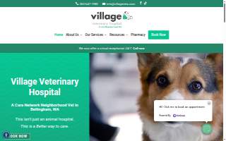 Village Veterinary Clinic website