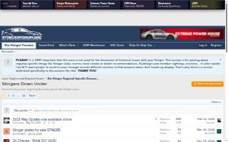 Stingers Pub website