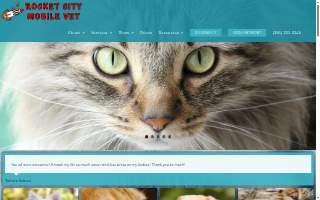 Rocket City Mobile Vet website
