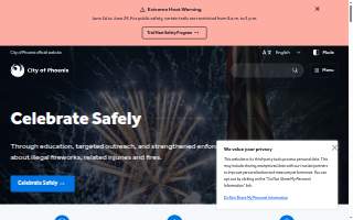 Phoenix Mental Health website