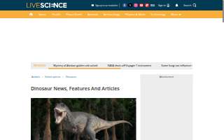 Dinosaur Heating and Cooling LLC website