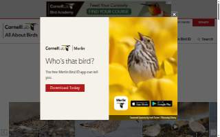 Willet Construction Inc website