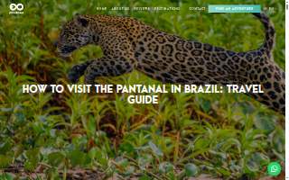 Pantanal Restaurant website