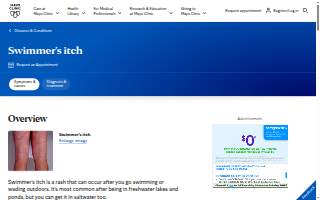 The Shore website