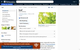 Leaves 'n Beans' Roastery website