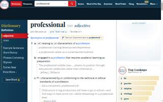 Professional Auto Sales & Service website
