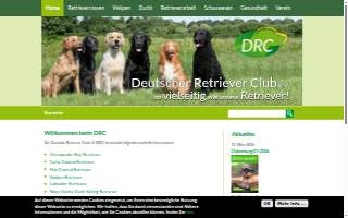 DRC Landscaping of Reno website