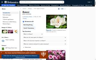 Flower City Collision website