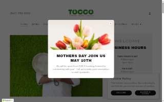 Tocco Divino Salon website