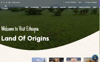 Ethio Motors Inc website
