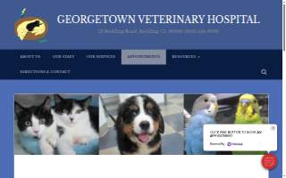 Georgetown Veterinary Hospital of Washington website