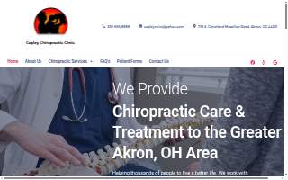 Copley Chiropractic Clinic website