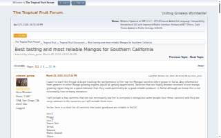 Mangos Mexican Cafe website