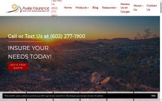 Ayala Insurance website