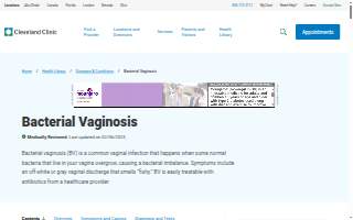 BV Electric Inc. website