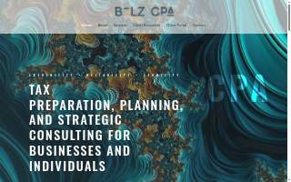 Bolz CPA, LLC website