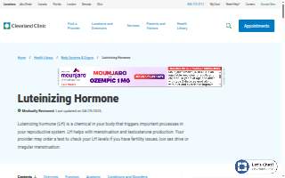 LH Rooftop website