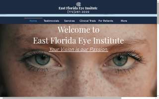 Edelman Financial Engines website