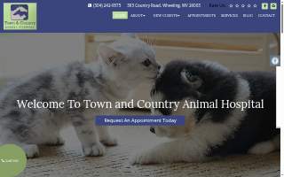 Town & Country Animal Hospital of Normal website