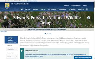 Forsythe Family Medical Clinic website