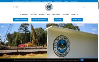 Hattiesburg Natural Birth website