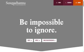Susquehanna Medical Associates PC website