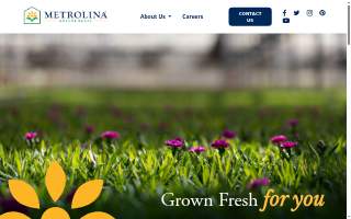 Metrolina Kidney Center website