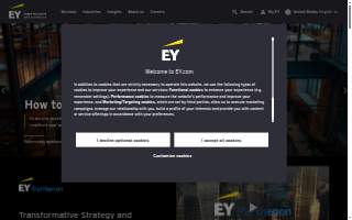 EY Auto Service website