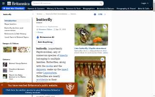 Butterfly Tax Solutions website