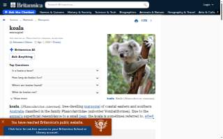 Koala Hair Company website