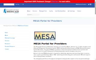 Mesa Street Dental website
