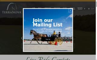 TERRANOVA Landscaping co website