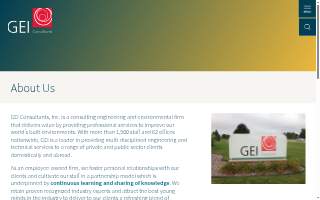 GEI Plumbing Services Houston website