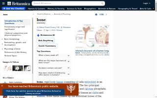 Bone & Joint Hospital-St Anthony website