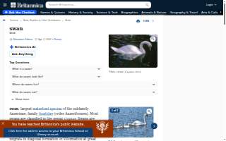 Swan Plumbing, Heating & Air of Denver website