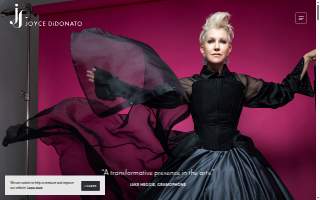 DiDonato, Wronnau, Abel, & Company CPAs website