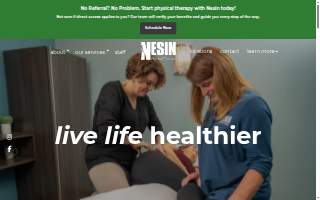 Nesin Therapy Services website
