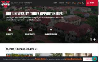 Valdosta Children's Health Care Center LLC MD website