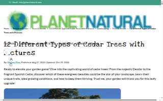Cedar Lake Medical Plaza website