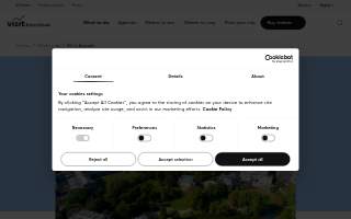 European cafe & fresh pastries website