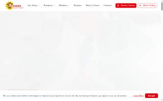 Borden Medical Associates website